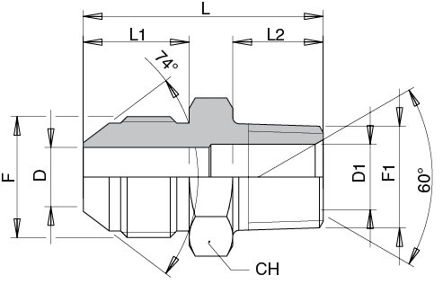 Schema Grafico NIPPLO MASCHIO JIC 37° – MASCHIO NPT AERTUBI S.r.l.