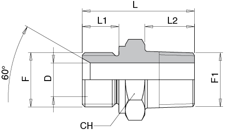 Schema Grafico NIPPLO MASCHIO Dl ESTREMITA DIRITTO Bspp/Npt AERTUBI S.r.l.